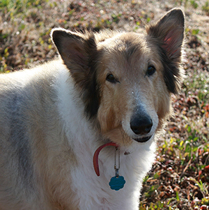 beautiful Emma for website